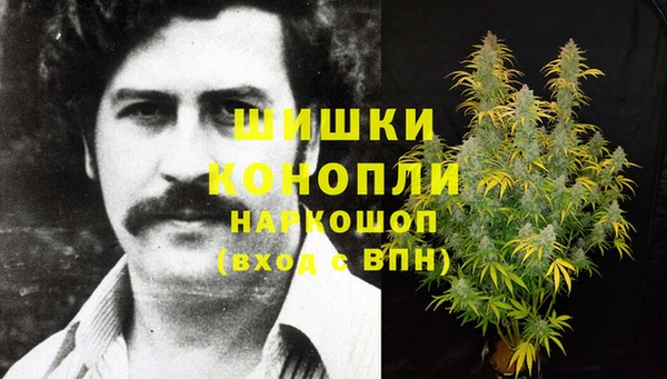 скорость Гусев