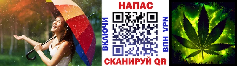 МАРИХУАНА планчик  мега как войти  Ефремов 